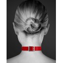 Collier en cuir rouge SM avec anneau métal argenté pour laisse