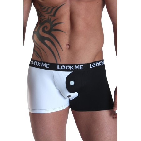 Boxer noir et blanc Yin et Yang