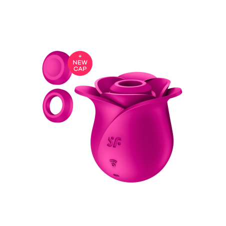 Stimulateur de clitoris rose par ondes de pression ou sans contact Pro 2 Modern Blossom Satisfyer - CC597841