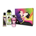 Coffret Baisers Fruités Shunga 3 produits - CC7000