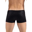 Boxer noir  gold Zebra - LM2403-67BLK