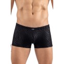 Boxer noir  gold Zebra - LM2403-67BLK