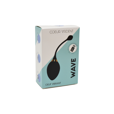 WAVE, Un Œuf vibrant noir USB avec télécommande, dans un silicone médical doux et lisse - B50BLK